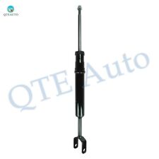 Front Suspension Strut Assembly For 1998-2004 Audi A6 picture