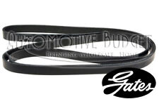Serpentine Belt for Ferrari FF GTC4 & Maserati Ghibli Levante Quattroporte - NEW picture