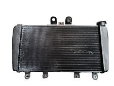 Radiator Restored With Soldering Professional Triumph Speed Triple 1050 05 - 10 picture