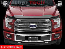WeatherTech Low Profile Hood Protector for Ford F-150 - 2009-2014 picture