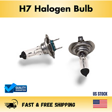 H7 Halogen Headlight Bulb Pair (2 Bulbs) picture