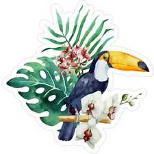 5in x 5in Tropical Toucan Vinyl Sticker Car Truck Vehicle Bumper Decal picture
