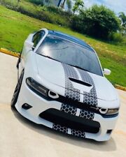 Dual Honeycomb Rally Stripes Fits Charger Scat Pack Dodge Hellcat Custom Colors picture