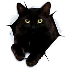 3x3 3D Black Cat Decal Sticker For Auto Windows Glass Walls And Feline Lovers picture
