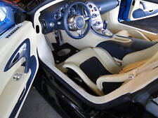 Bugatti Veyron Supersports Sang Noir Custom bespoke floor mats - Rare picture