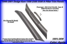 1998-2001 Dodge Ram OEM A Pillar Trim Panel grab handle LH & RH AGATE picture
