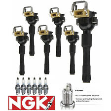 6 MotorKing Ignition Coil & 6 NGK Platinum Spark Plug For BMW 328i 528i UF354 picture