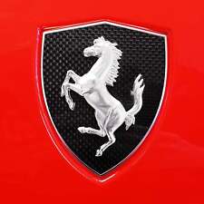 OEM Ferrari Carbon Fiber Fender Shields F430, 360, 458 picture