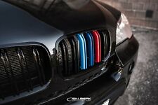 Salberk Kidney Black High Shiny BMW X6 E71 7001DLF Front Grille M Colours picture