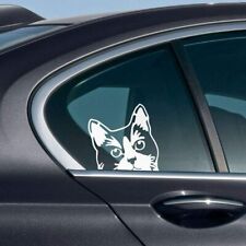 6 inch White Cat Vinyl Car Window Decal Graphic Feline Sticker Decoration NEW picture