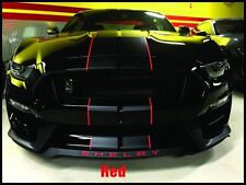 Ford Mustang SHELBY GT350 Front Splitter Vinyl Decal Overlay picture