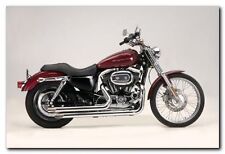 SAMSON SINISTER LEGEND BALONEY CUT XL3-930B  Exhaust system Harley Sportster xl  picture