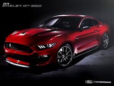 2019 SHELBY GT350 FORD MUSTANG—US DEALER SALES BROCHURE—GT 350—NEAR MINT NOS picture