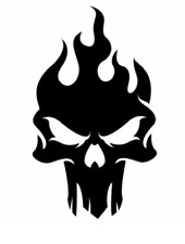 Flame Skull Head Vinyl Decal Car Truck Laptop Sticker picture