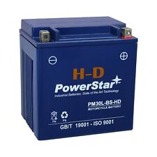 PowerStar H-D Heavy duty YTX30L-BS Motorcyle Battery, EXTRA CCA 3YR WARRANTY picture
