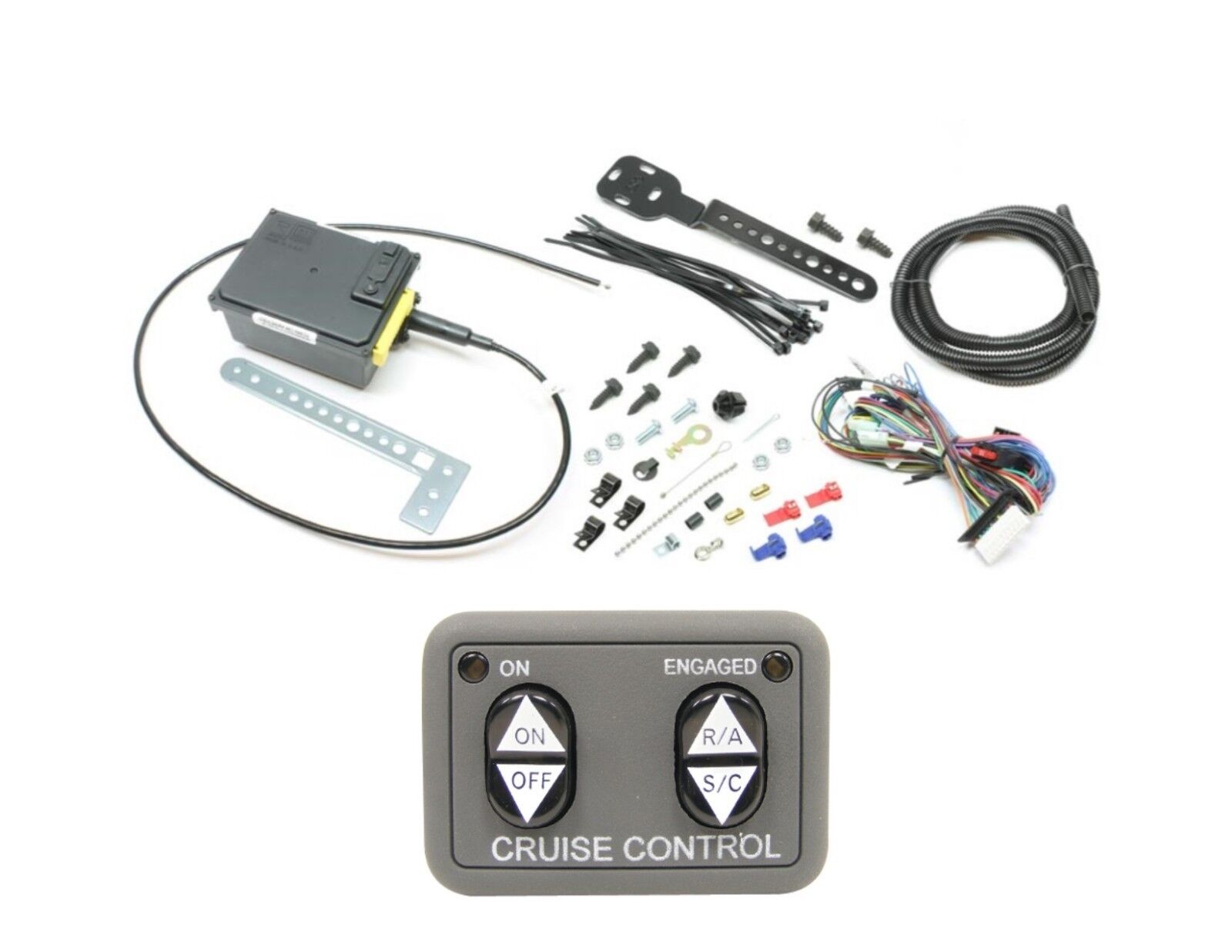 Rostra 250-1223 Universal Electronic Cruise Control Kit,3592 LED Dash Switch 