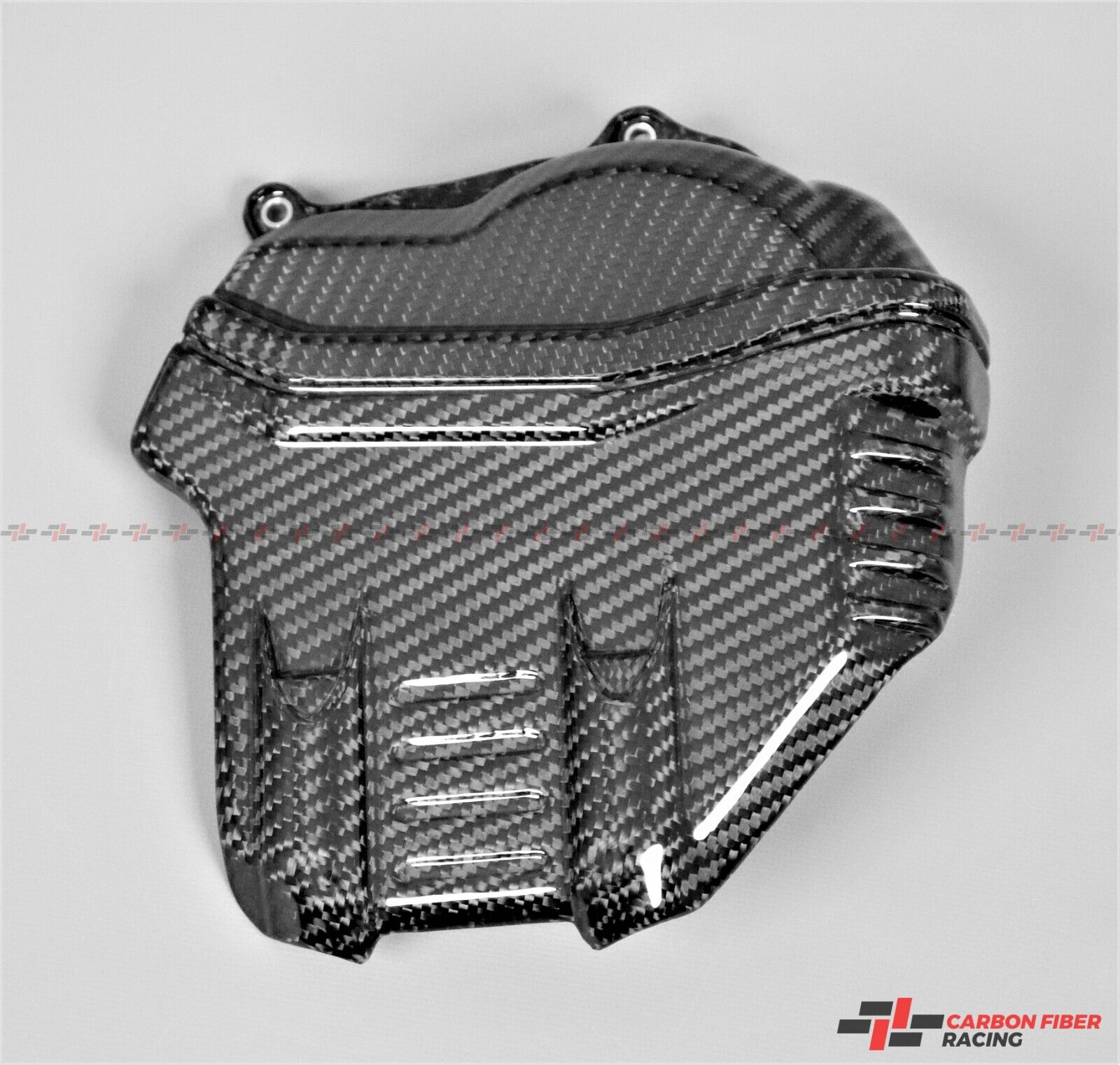 2020-2021 Ducati Streetfighter V4, V4 S Engine Cover - 100% Carbon Fiber