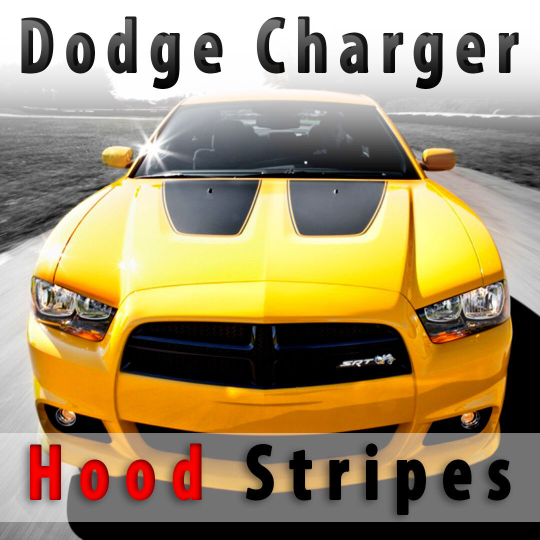 Dodge Charger Hood Insert vinyl Decals 2011 2012 2013 2014 non SRT8 hood