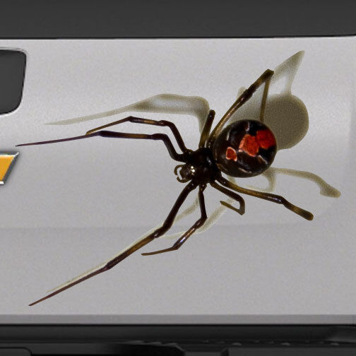 3D Spider Black Widow Realistic Small Size for tank