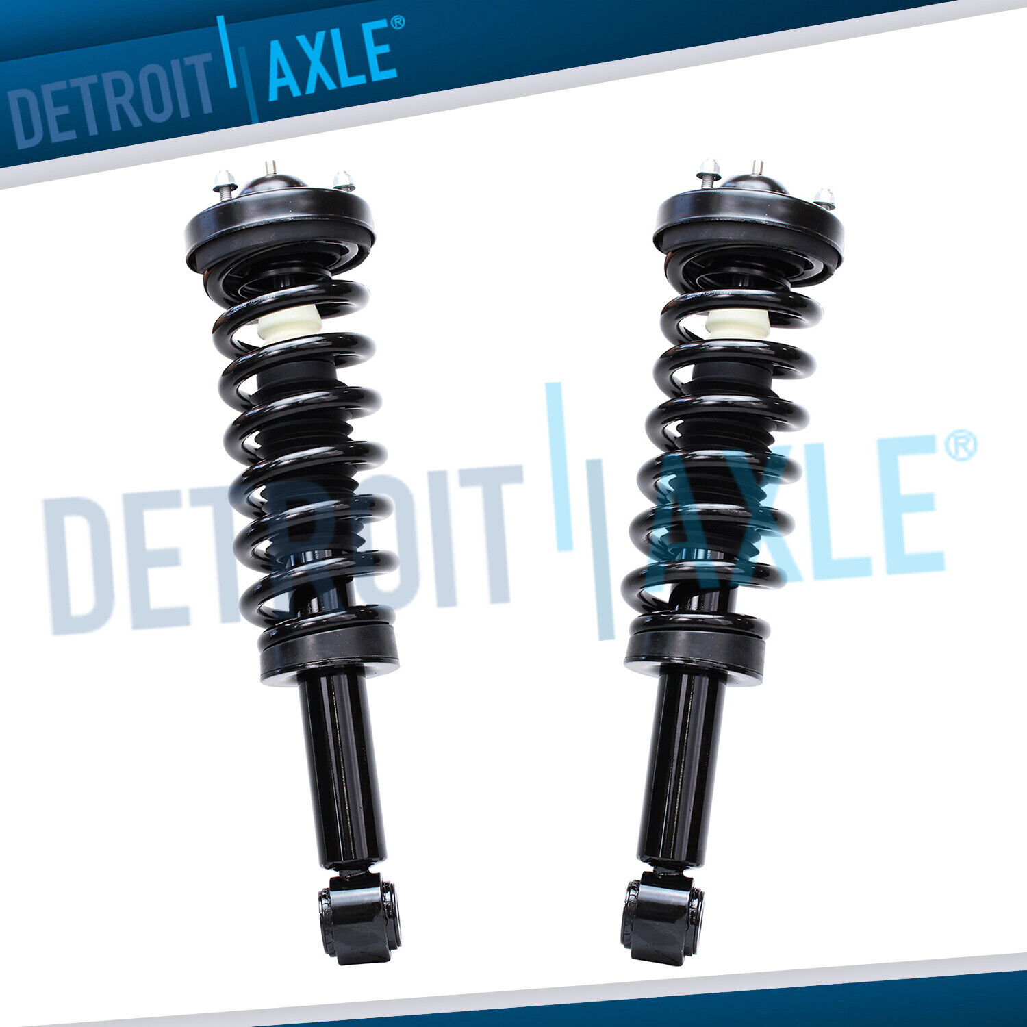 Front Struts w/ Coil Spring Assembly for 2009 2010 2011 2012 2013 Ford F-150 4WD