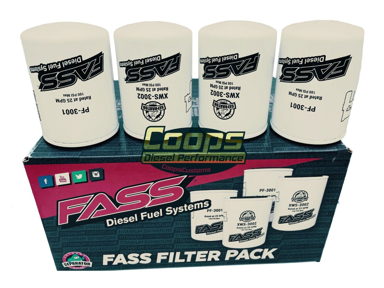 FASS Filter Pack 2 Sets Of Replacement Pump Fuel Filters XWS-3002 / PF-3001
