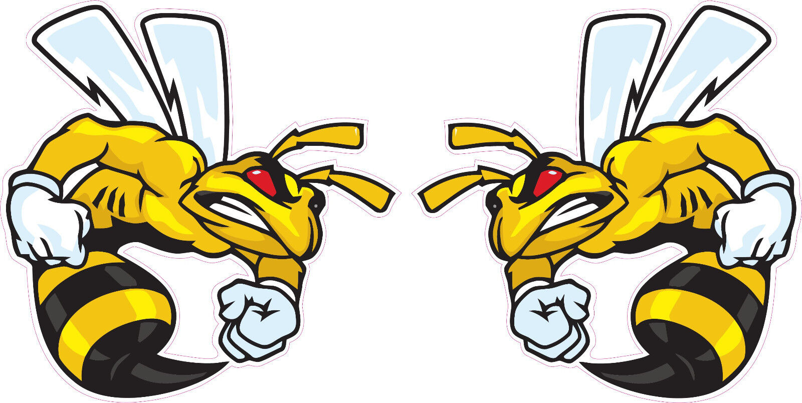 Ski-Doo Angry Bee Pairs Decal 4\