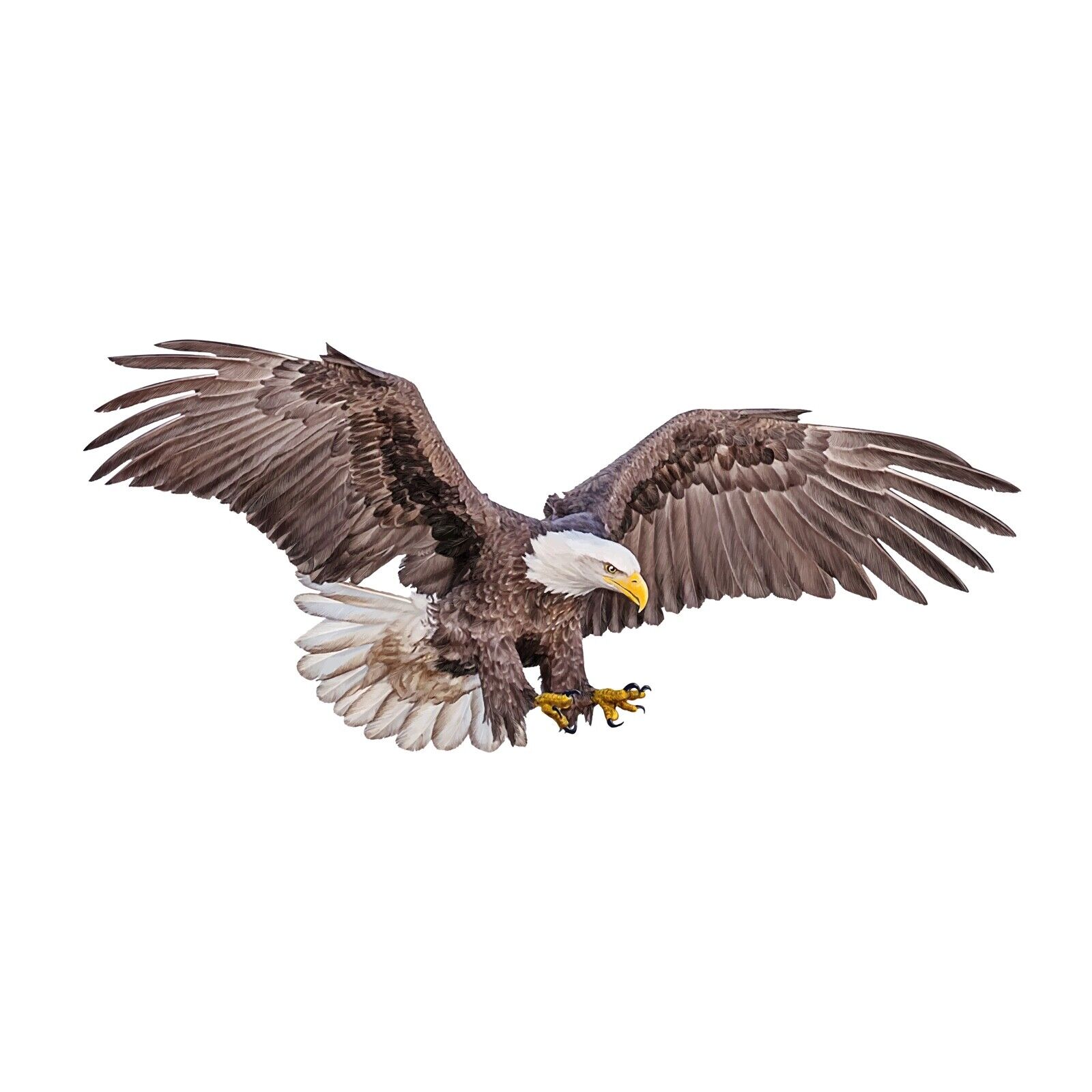 Realistic Brown East Soaring BALD EAGLE USA DECAL STICKER TRUCK VEHICLE WINDOW