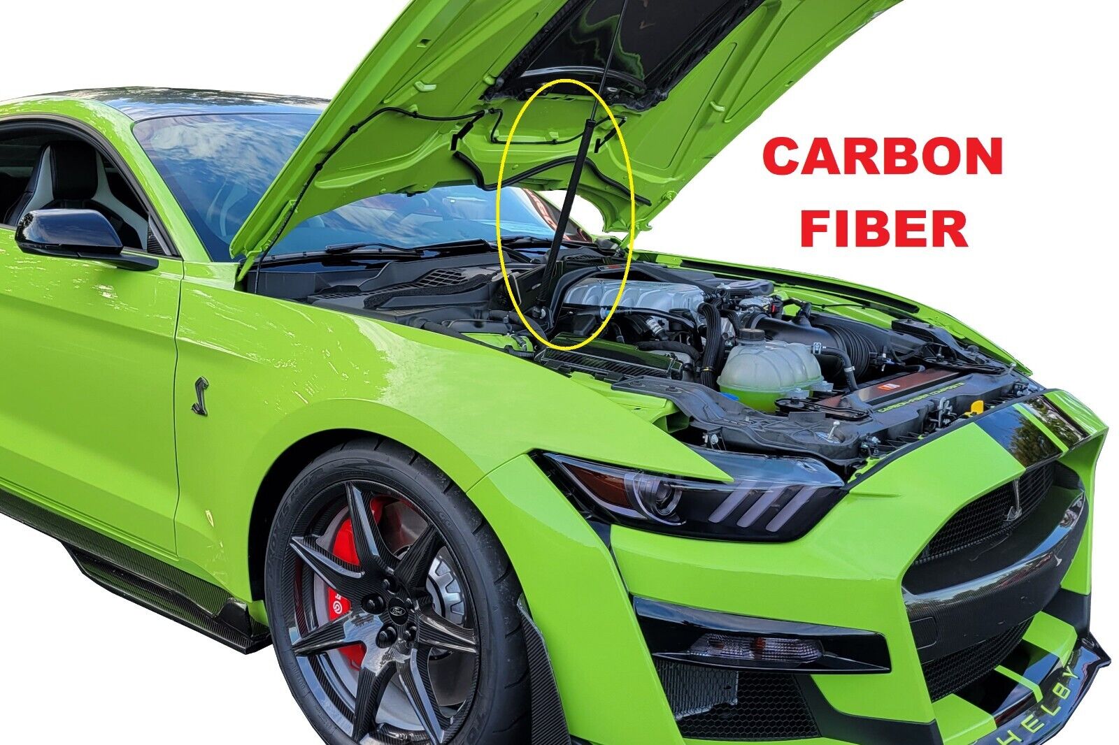 2020-2022 Ford Shelby GT500 Carbon Fiber Sleeve for OEM Hood Gas Strut