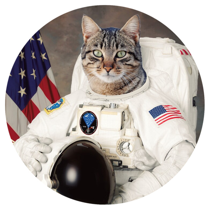 Funny Nasa Space Astronaut Cat Sticker Phone Case Laptop Bumper Decal #RS26