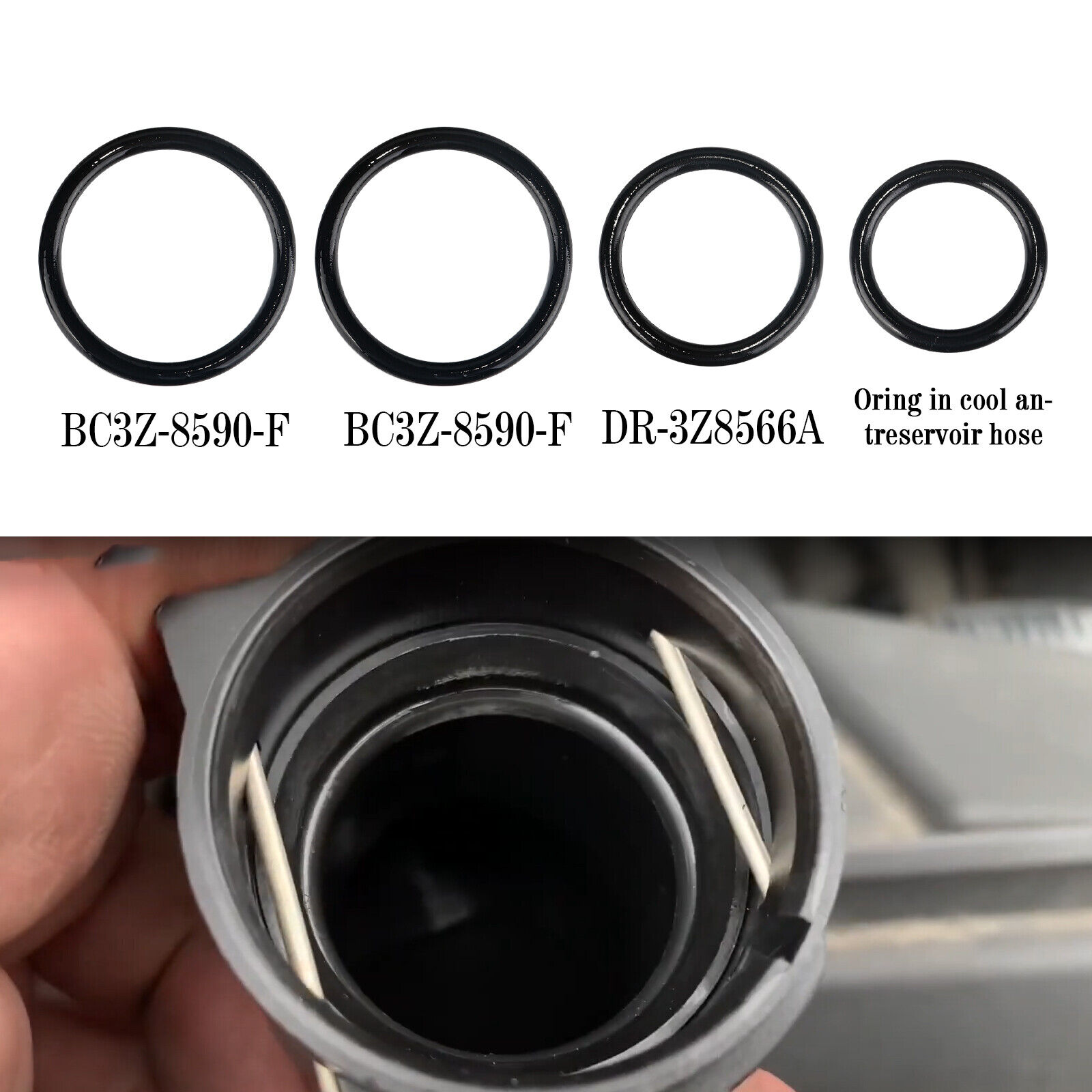 For Ford F-150 Coolant Hose Replacement O-Rings DR-3Z8566-A BC3Z-8590-F