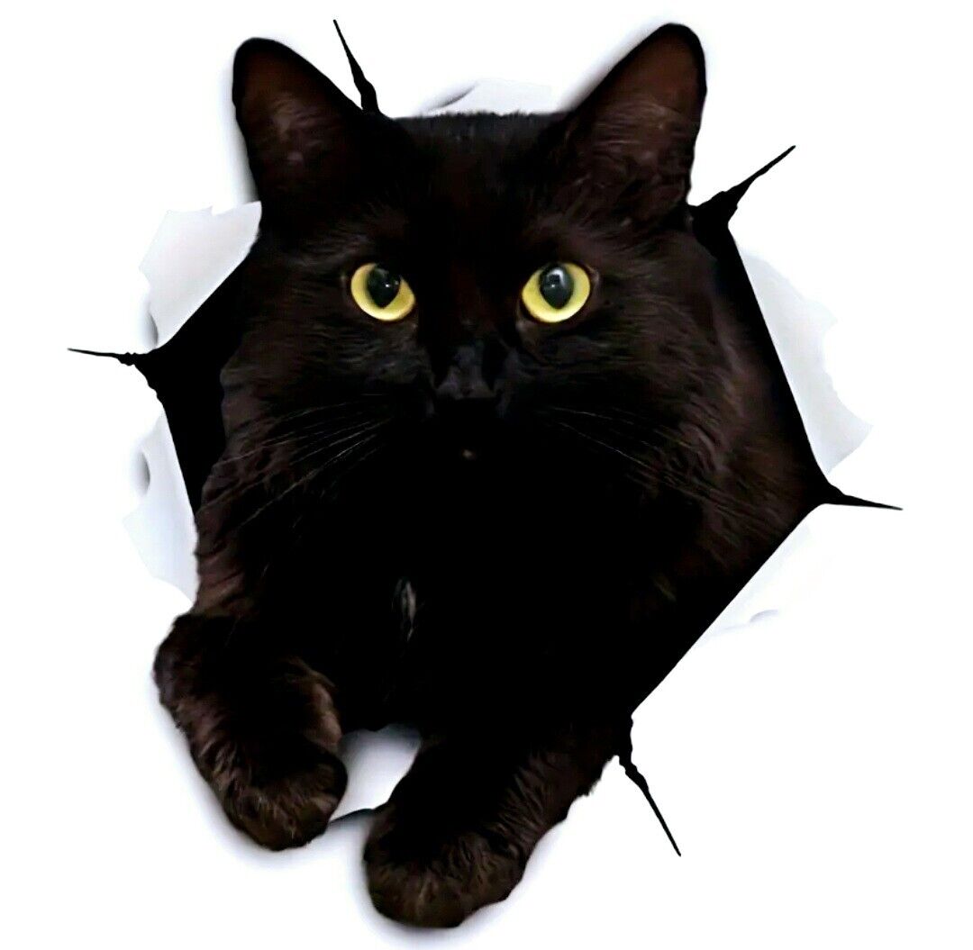 3x3 3D Black Cat Decal Sticker For Auto Windows Glass Walls And Feline Lovers