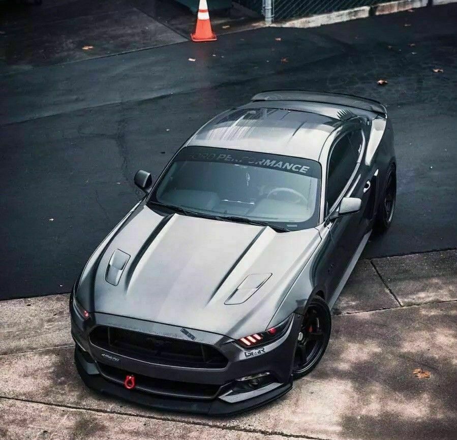 windshield banner FITS:MUSTANG