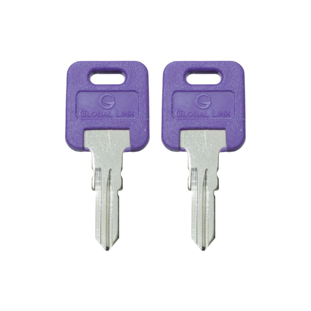 1 Pair (2 keys) Global Link Precut Keys G301 - G391 RV Trailer Camper Keys
