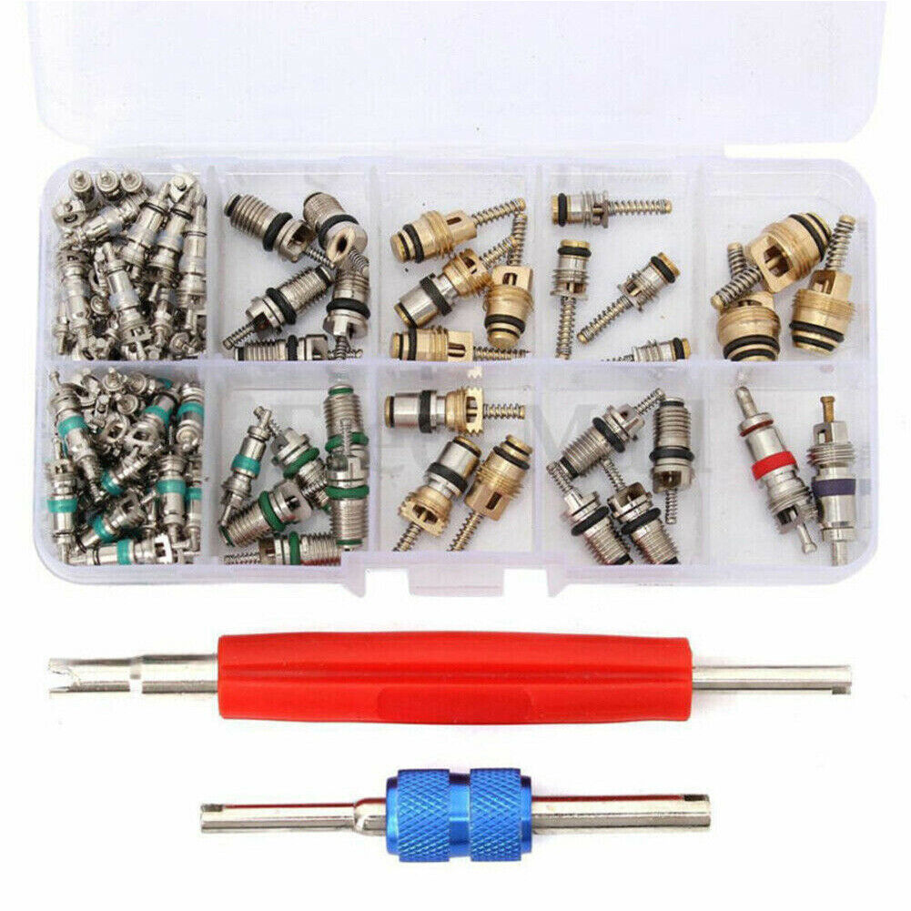 102pcs Car R12 & R134a A/C Air Conditioner Schrader Valve Core Remover Tool Kit