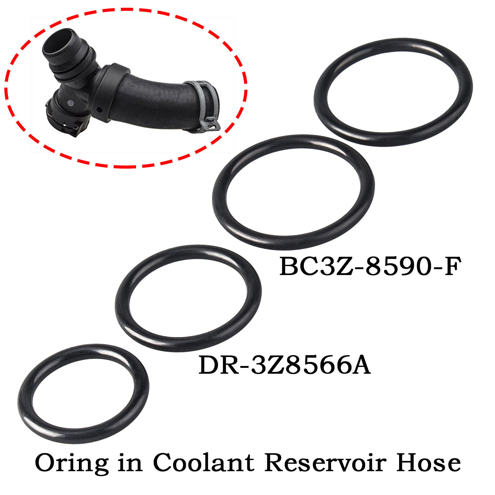 Replacement O-Rings For Ford F-150 DR-3Z8566-A, BC3Z-8590-F, & RESERVOIR HOSE