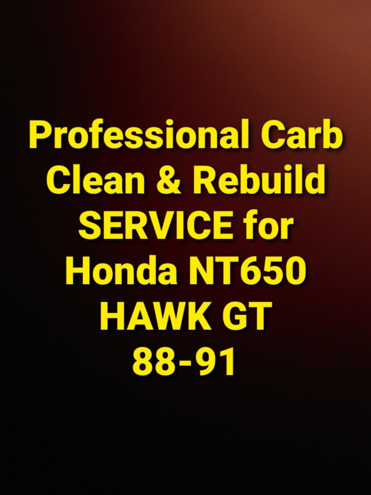88-91 Honda NT650 HAWK GT Professional Carb Clean & Rebuild Service