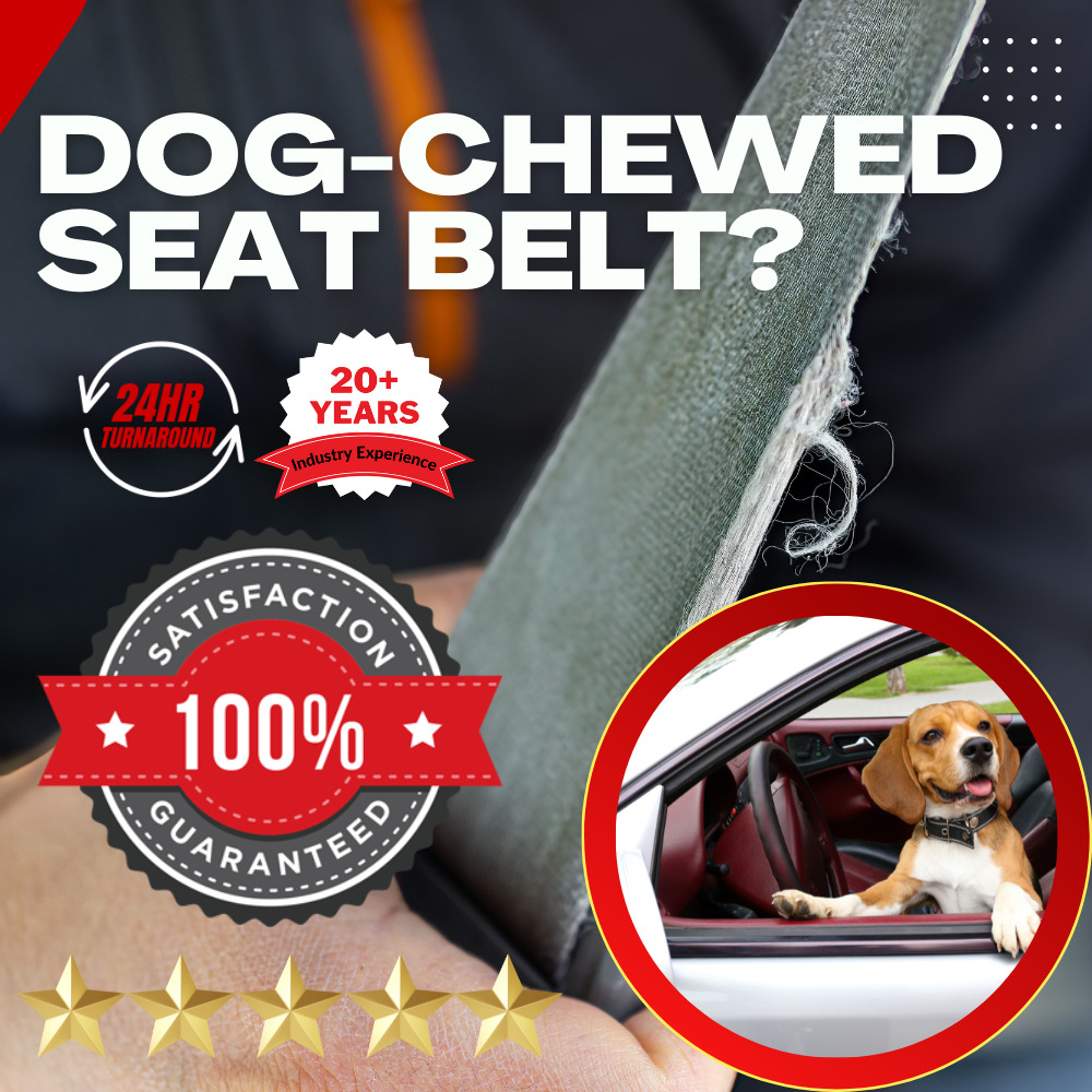 Dog Chewed Seat Belt Webbing Replacement Service - FAST 24HR TURNAROUND