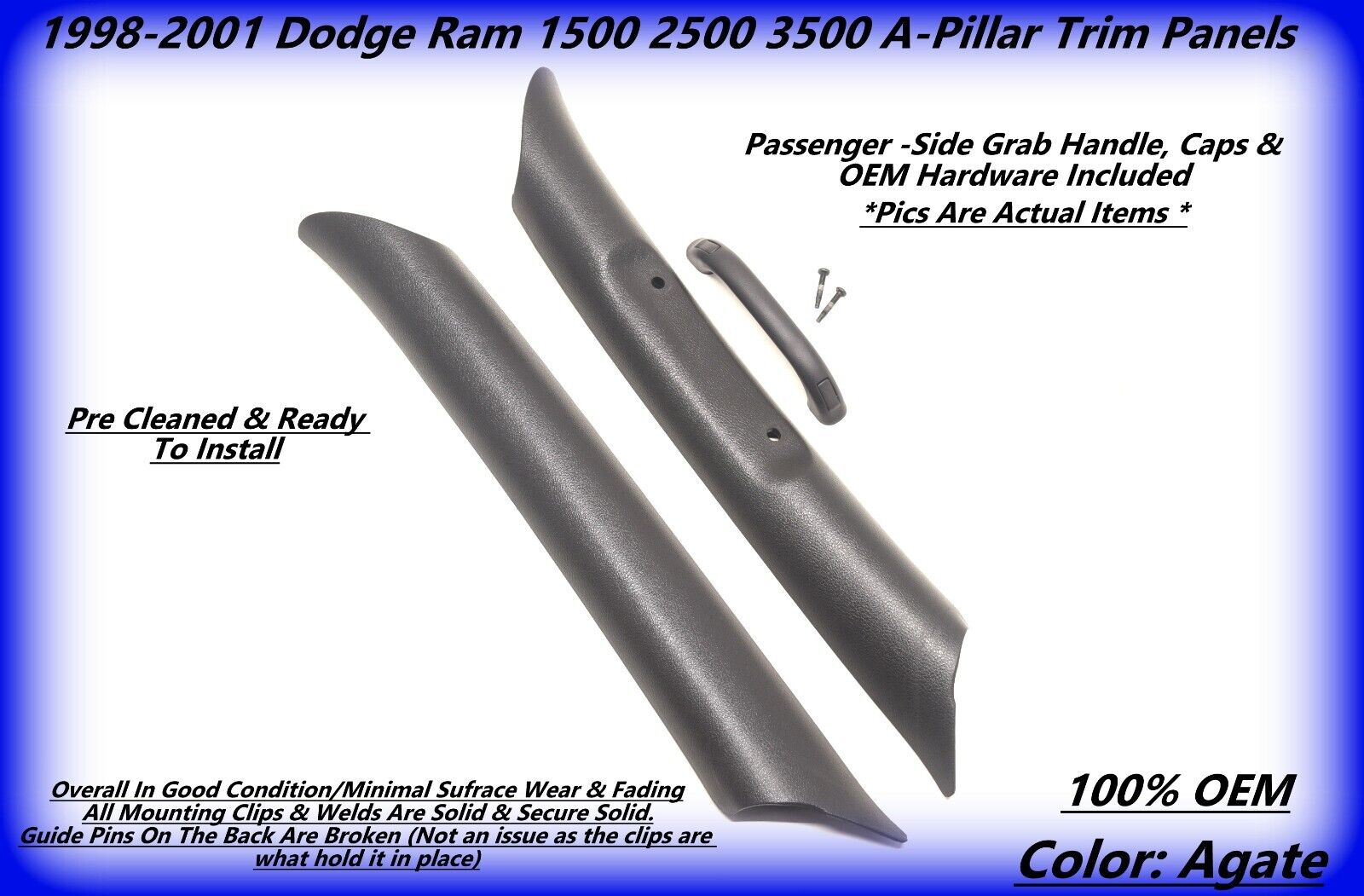 1998-2001 Dodge Ram OEM A Pillar Trim Panel grab handle LH & RH AGATE