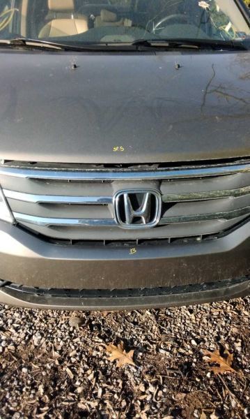 Grille Fits 11-13 ODYSSEY 2590569