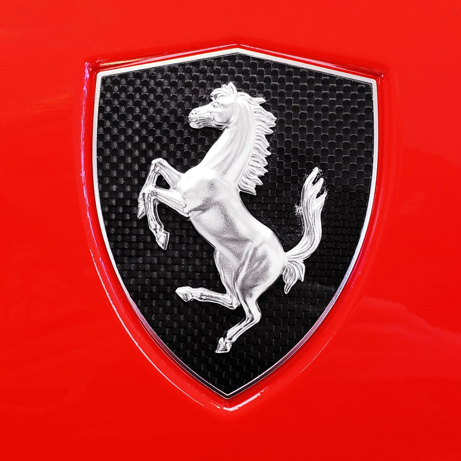 OEM Ferrari Carbon Fiber Fender Shields F430, 360, 458