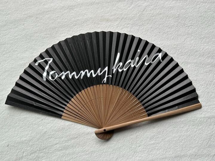 Tommykaira Waving Fan JDM Hks Rays Blitz Rare R34 Skyline