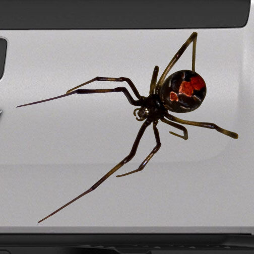 3D Spider Black Widow Realistic Tailgate Hood Window Decal Vehicle Truck Vinyl  