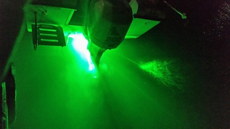 GREEN GTS LED BOAT DRAIN PLUG LIGHT 1200 LUMEN UNDERWATER TRANSOM FISHING LIGHT