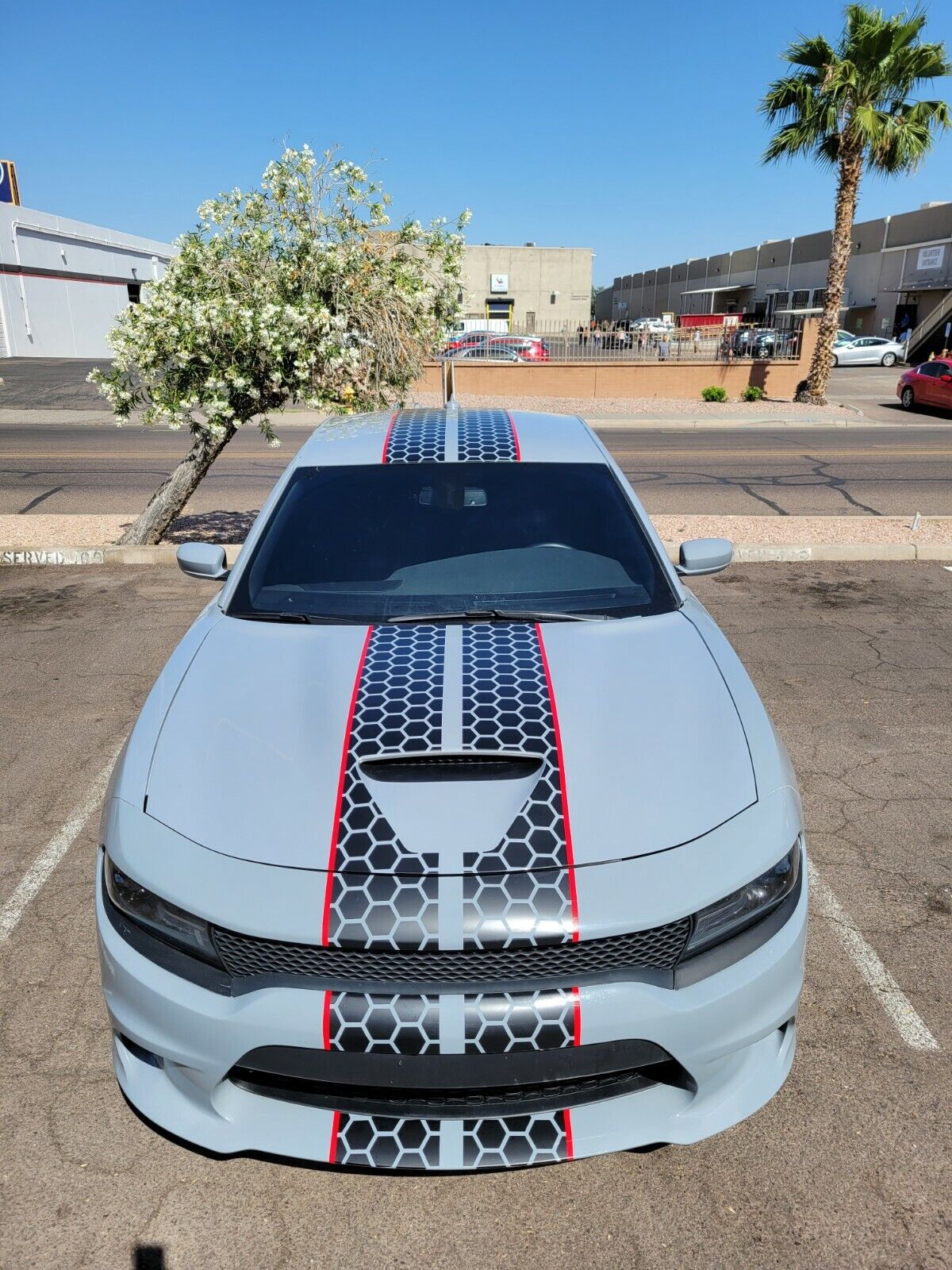 Dual Honeycomb Stripe Kit Vinyl Decal Fits Dodge Charger SRT Hellcat 2015+