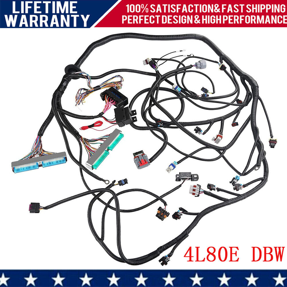 FOR 03-07 LS Vortec Stand alone Wire Harness Drive by Wire 4L80E 4.8 5.3 6.0 DBW