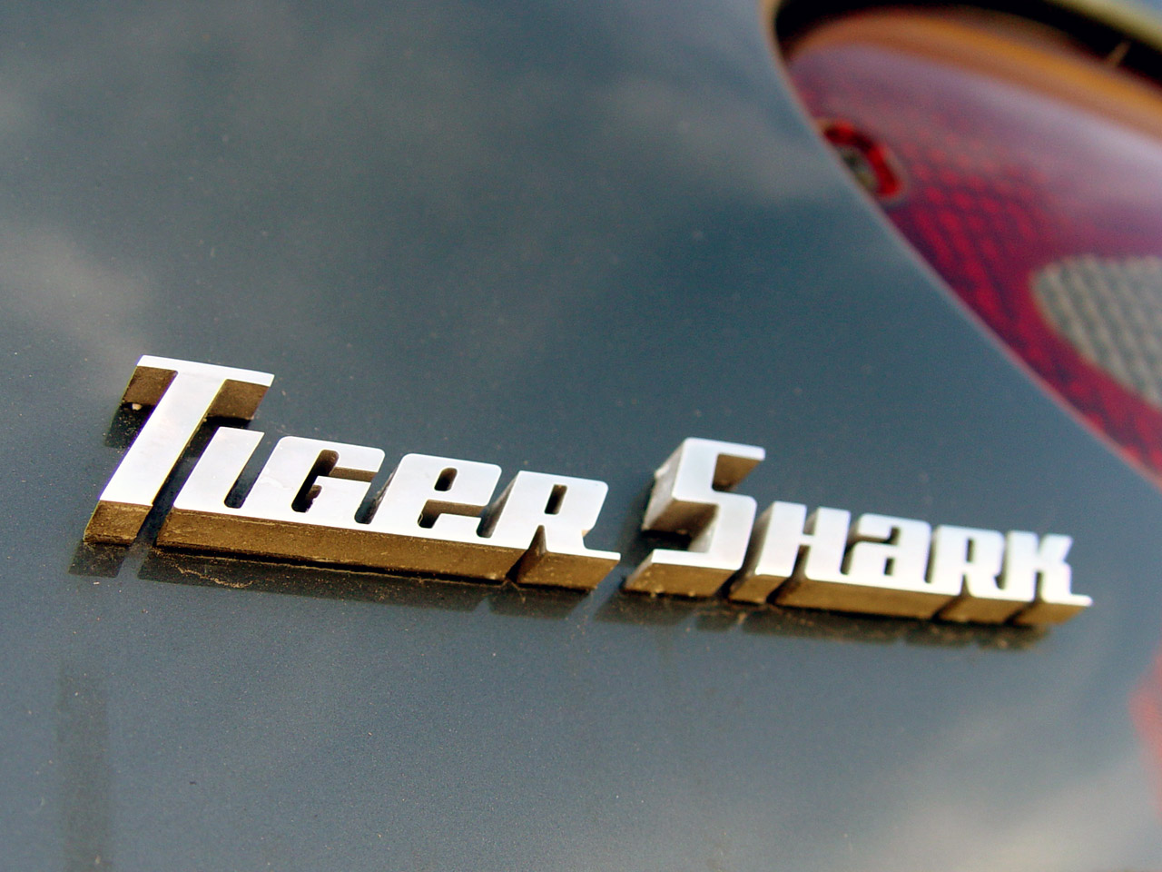 1997 Chevrolet Corvette Tiger Shark Concept