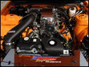 2006 Geiger Mustang GT 520