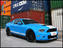 2010 Geiger Shelby GT500