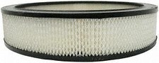 Air Filter  ACDelco GM OE/GM Genuine Parts  A212CW picture