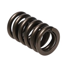Manley Street Master Valve Springs 1.250